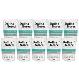 Dolina Noteci Premium Wet Dog Food, Rich in Guinea Fowl and Apple, 10 x 500 g Set