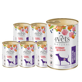 Veterinary Wet Dog Food for Dogs with Gastric Issues: 4Vets Natural Gastro Intestinal, 6 x 400 g