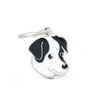 Engraved ID Tag for a Jack Russell Terrier
