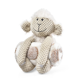 Barry King Plush Dog Toy: Lamb Set, 27 cm, with a 70 x 60 cm blanket