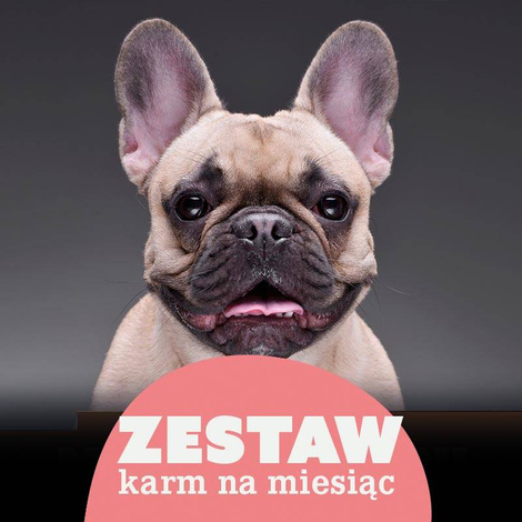 Dolina Noteci Superfood Wet Dog Food for Dogs Up to 10 kg, 30-Day Supply, 47 x 400 g