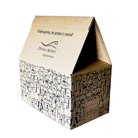Cardboard House