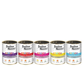Dolina Noteci Premium Junior Mix Wet Dog Food, 20 x 400 g