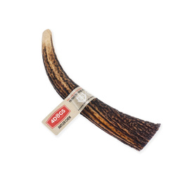 4Dogs Hard Antler Dog Chew Toy M-Line XXL