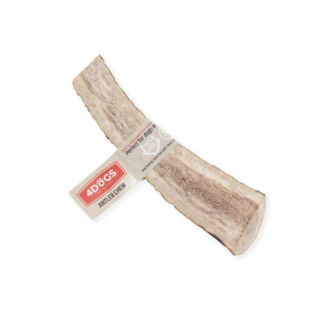 4Dogs Easy R-Line L Antler Dog Chew Toy