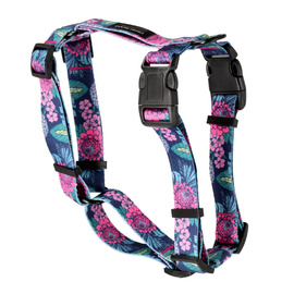 Dolina Noteci Guard Classic Dog Harness – Floral Corner, Size L
