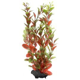 Tetra DecoArt Plant M Red A319 Ludwigia Aquarium Plant