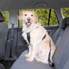 Trixie Dog Car Harness, Size L