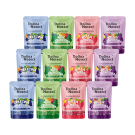 Dolina Noteci Superfood Wet Dog Food for Small Breeds, Mixed Flavors, 12 x 100 g Set