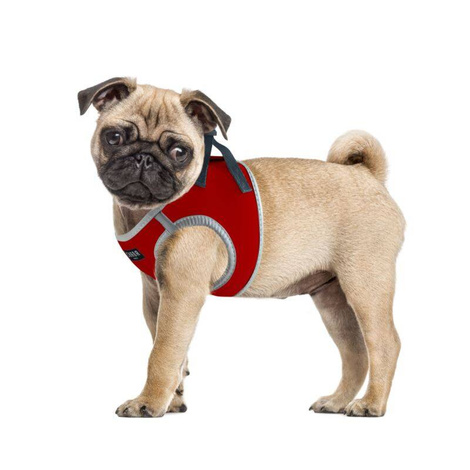 CHABA Protect Dog Harness, Bright Red, L