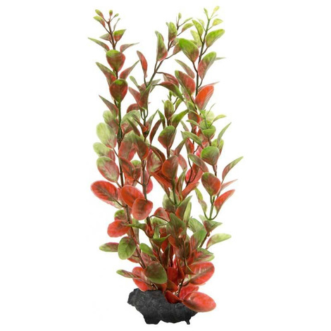 Tetra DecoArt Plant M Red A319 Ludwigia Aquarium Plant