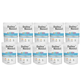 Dolina Noteci Premium Junior Wet Dog Food, Rich in Lamb, 10 x 300 g Pack