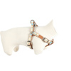 Zolux IMAO SCOTT 25 mm Harness, Blue 